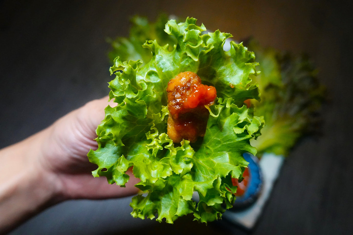 淡海地鶏特製漬けタレ焼肉セット2~3人前(冷蔵)