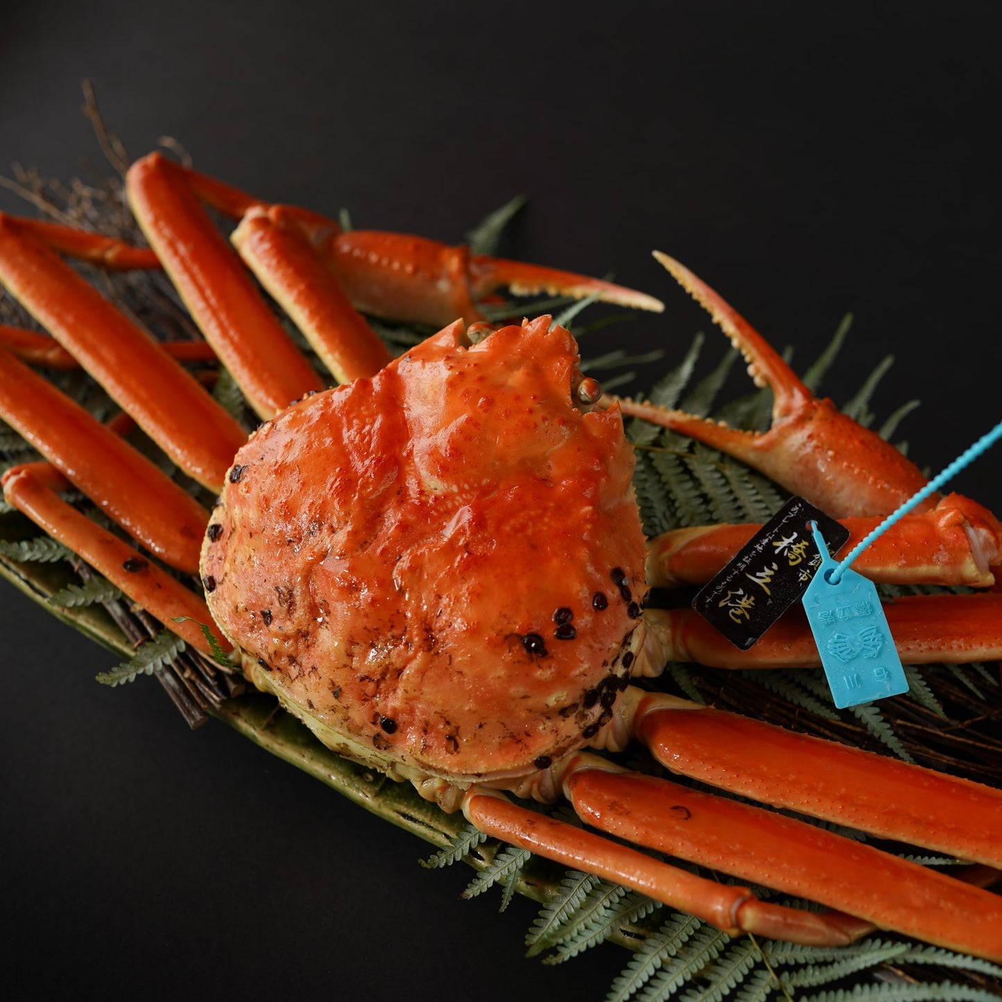 【期間限定】石川県産タグ付き加能蟹