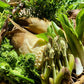 信州天然山菜筍と木の芽花山椒鍋 / 天然極上猪肉 2~3人前（冷蔵） | 日本料理 柚木元