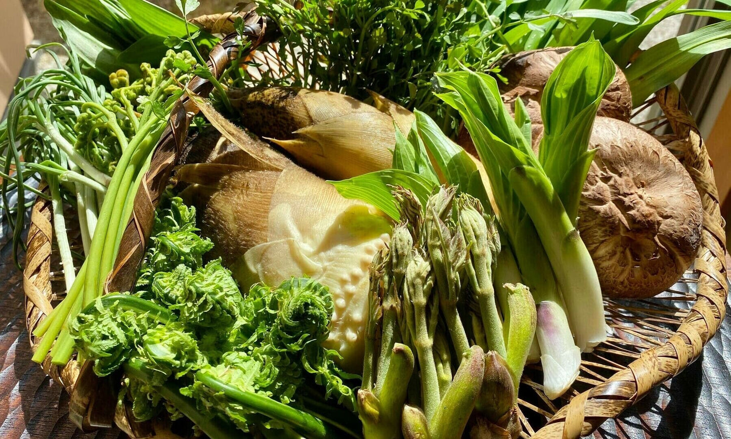 信州天然山菜筍と木の芽花山椒鍋 / 天然極上猪肉 2~3人前（冷蔵）