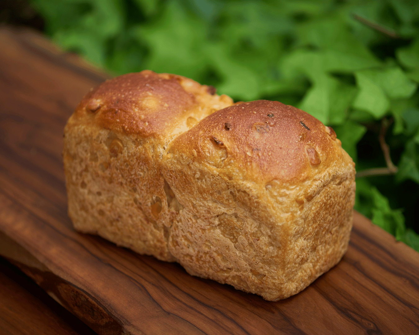 【店頭受取限定】とうきびブレッド | Boulangerie et Cafe MainMano（ブーランジェリー&カフェ マンマーノ）