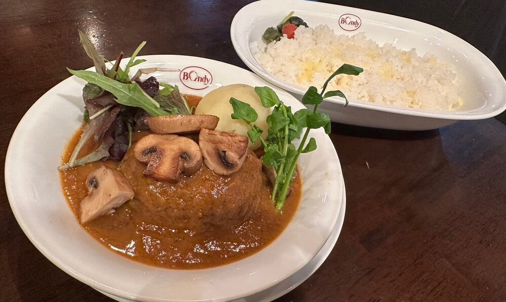 【一休限定】ボンディ特製 黒毛和牛100%ハンバーグカレー中辛 1食 | 欧風カレー ボンディ（Bondy）