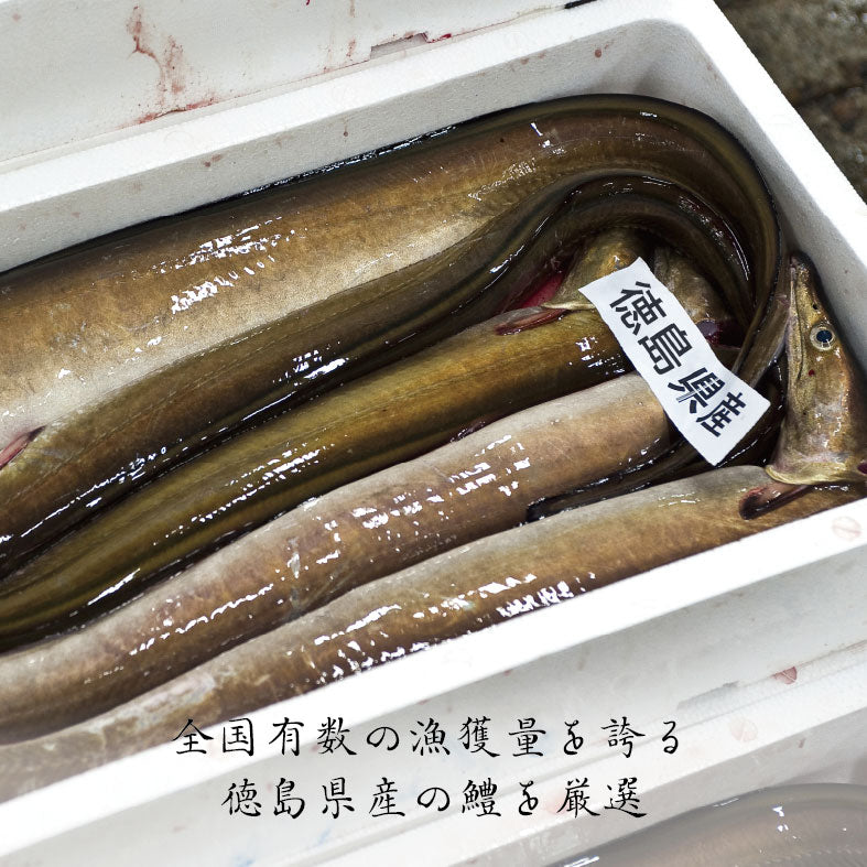 【4人前】活〆鱧すき(徳島産はもすき) | 和食 うおまん