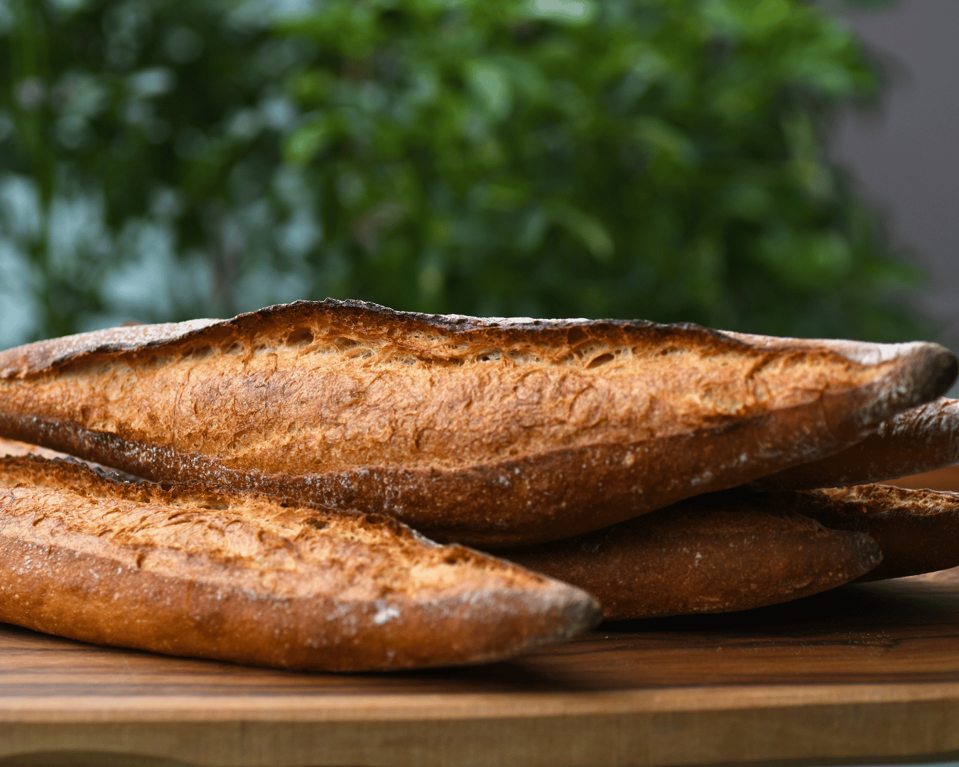 【店頭受取限定】 バゲット・トラディション・スペシャル | Boulangerie et Cafe MainMano（ブーランジェリー&カフェ マンマーノ）