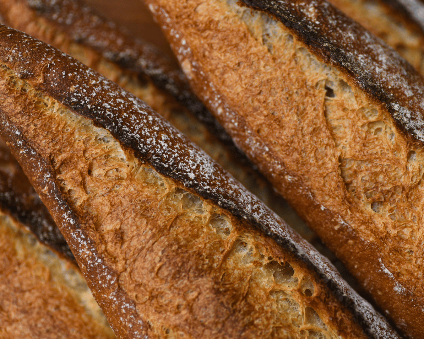 【店頭受取限定】 バゲット・トラディション・スペシャル | Boulangerie et Cafe MainMano（ブーランジェリー&カフェ マンマーノ）