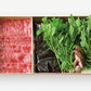 信州野菜を楽しむ信州プレミアム牛すき鍋セット 2人前　送料無料 | 明神館