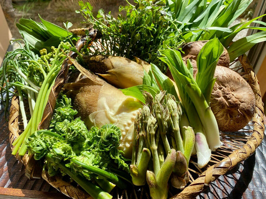 【柚木元 春のごはん】採れたて筍ご飯とお惣菜セット（2人前） | 日本料理 柚木元
